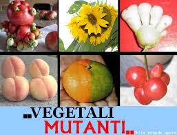 www è il cancro alla prostata causato dalla sostanza chimica di monsanto